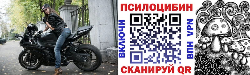 Псилоцибиновые грибы Cubensis Купить закладки Усолье